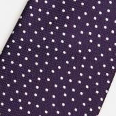 Dark Purple with Scattered White Dots Tie